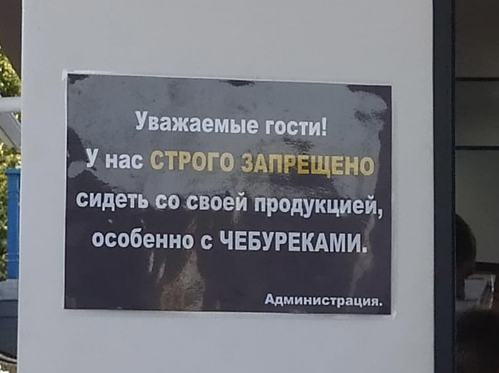Туристка описала отдых в Краснодарском крае: "Мороженое участникам СВО — бесплатно"