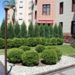 Как озеленение и благоустройство территории меняют наш мир